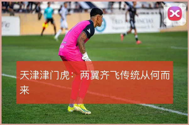 天津津门虎：两翼齐飞传统从何而来