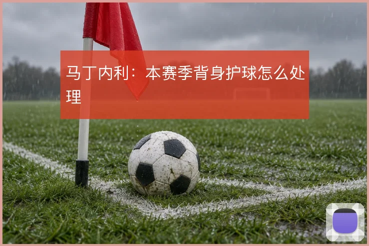 马丁内利：本赛季背身护球怎么处理
